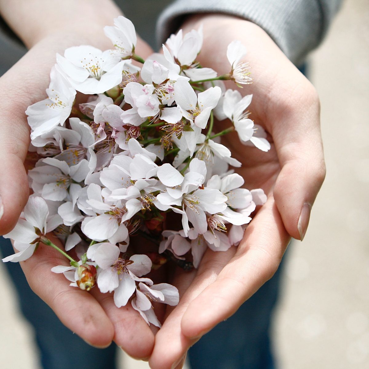 Carpal Tunnel Syndrome during Pregnancy