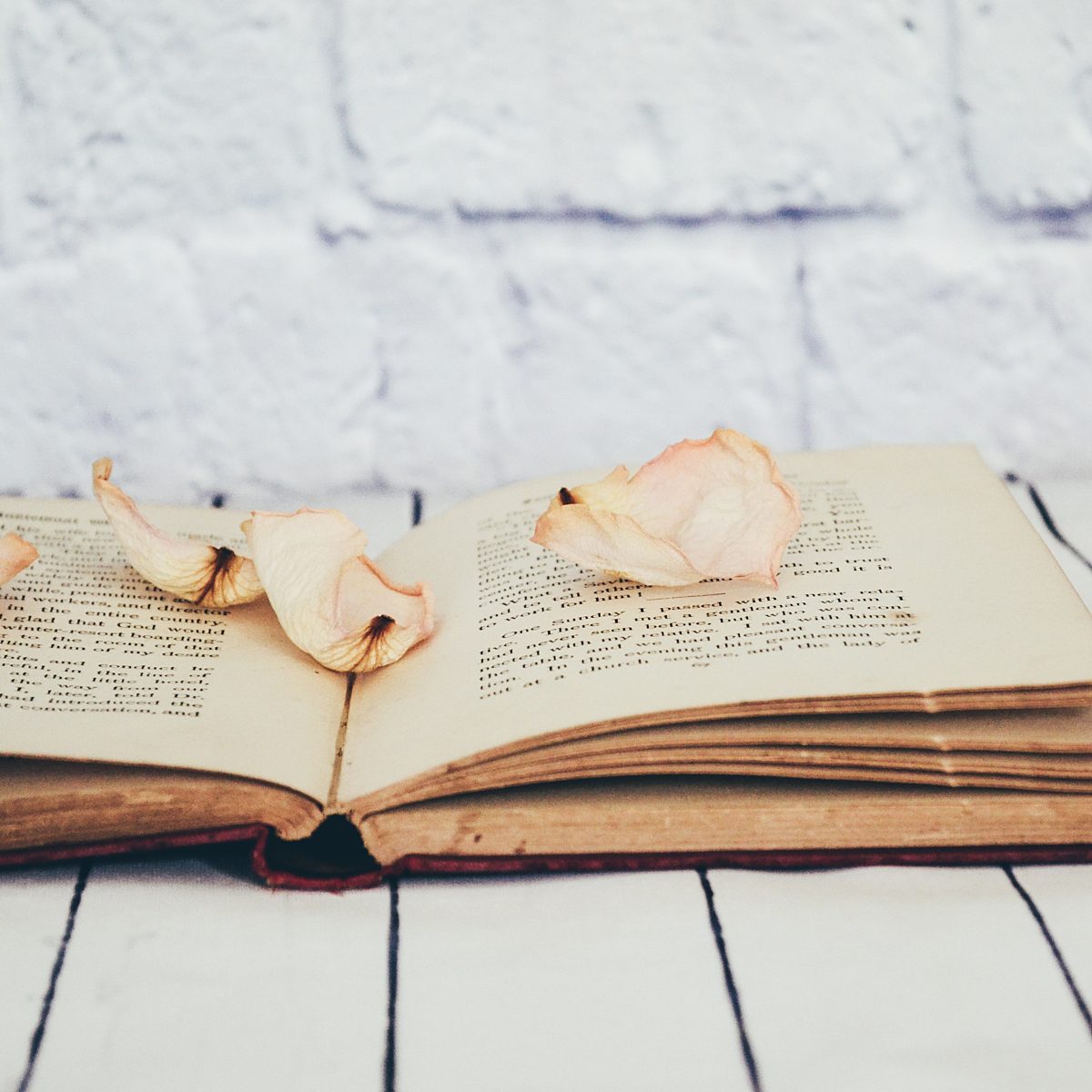 Wise Words from a Midwife