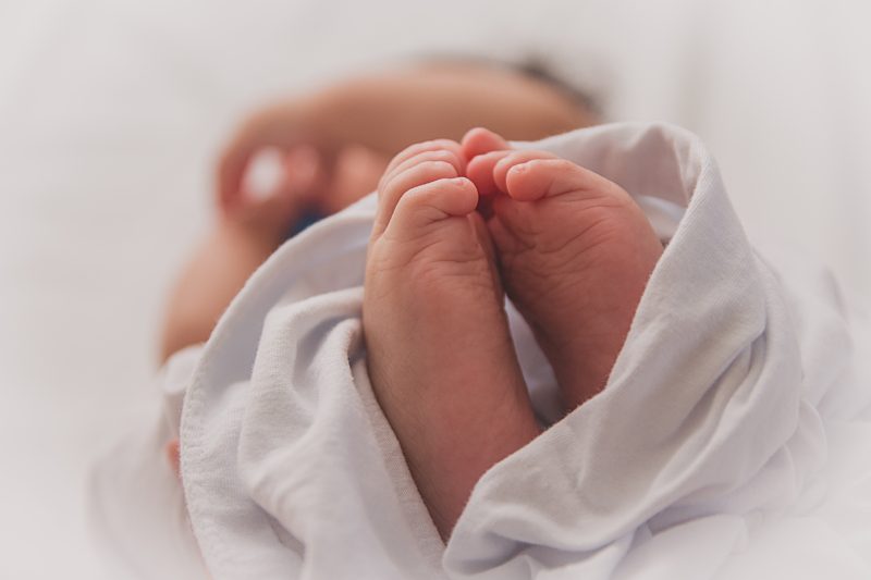Luma Pimentel 463423 Unsplash